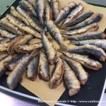 Sardine fritte